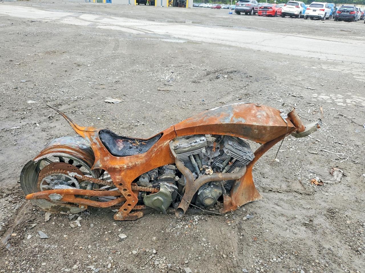 1999 OTHE CUSTOM | 1P9SL295150549004 | UPCARS