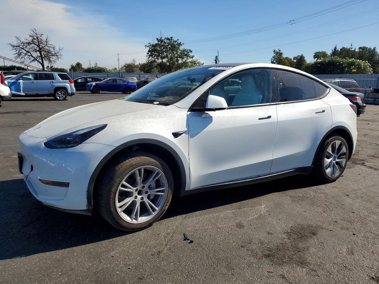 2024 TESLA MODEL Y | 7SAYGDED0RF033308 | UPCARS