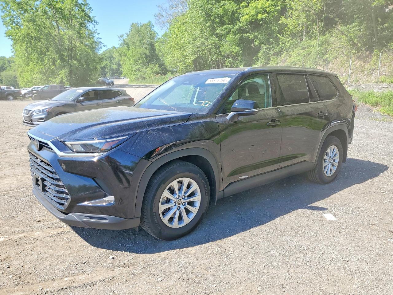 2025 TOYOTA ALL OTHER XLE | 5TDAAAB56SS087757 | UPCARS