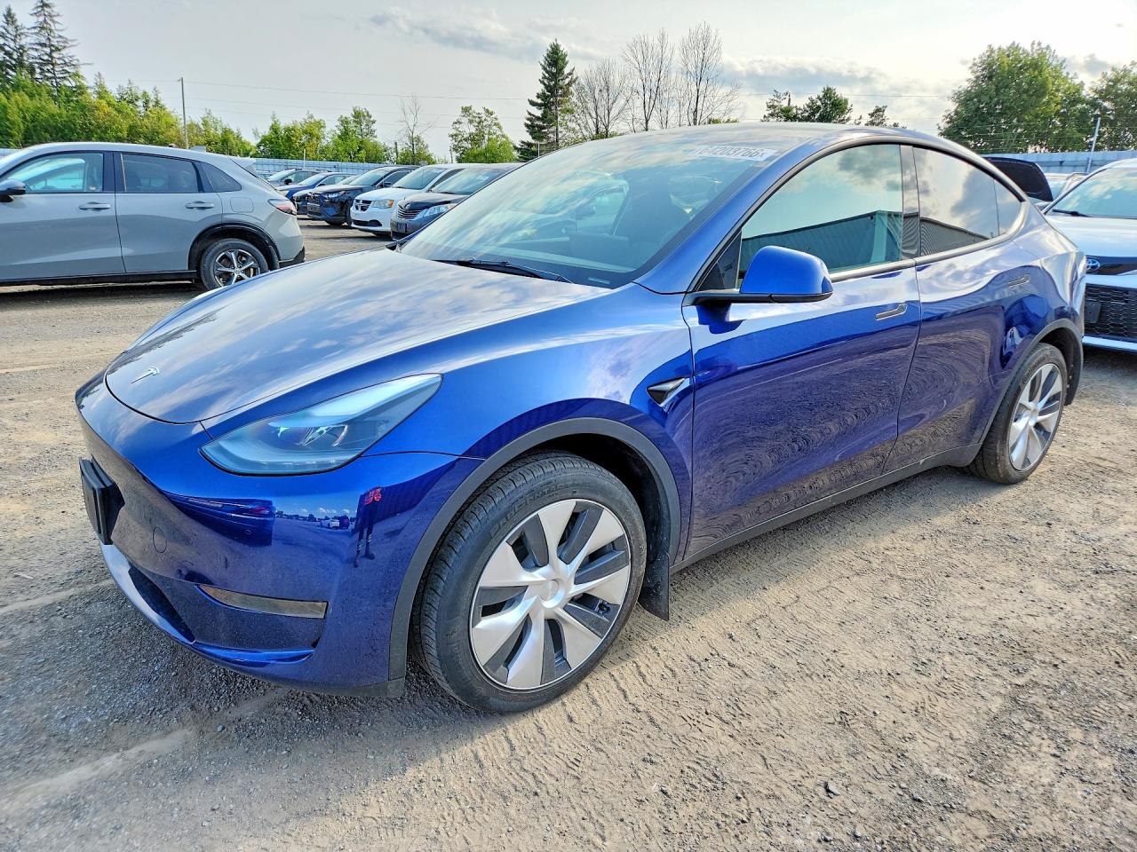 2024 TESLA MODEL Y | 7SAYGDED4RF993098 | UPCARS