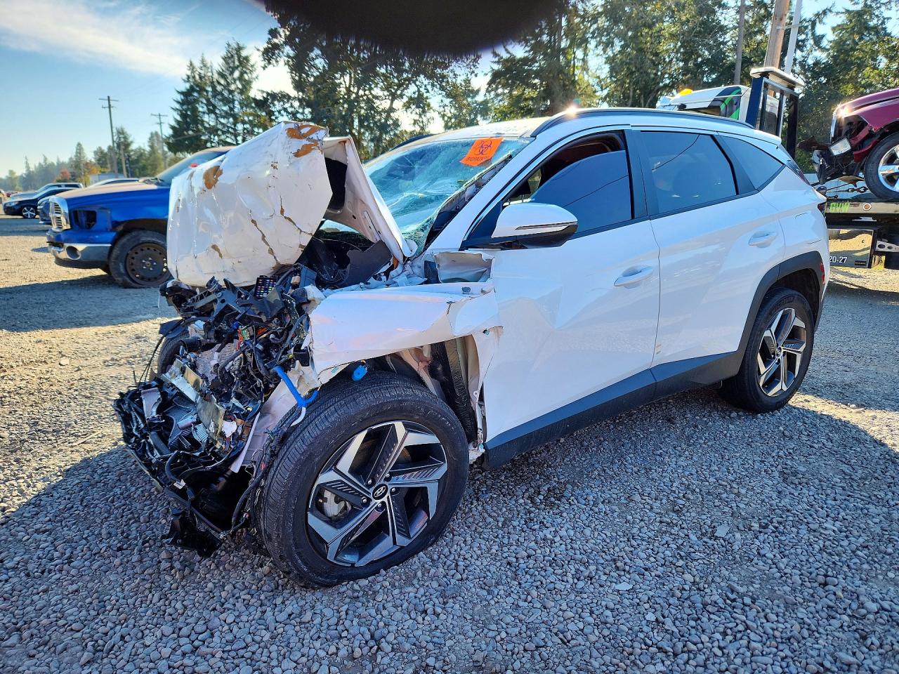 2023 HYUNDAI TUCSON SEL CONVENIENCE | KM8JFCA11PU112283 | UPCARS