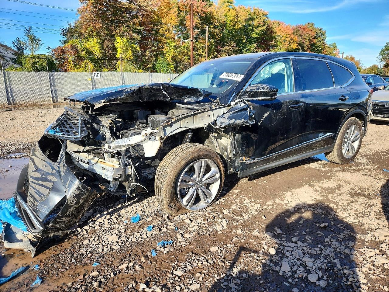 2025 ACURA MDX | 5J8YE1H33SL035286 | UPCARS