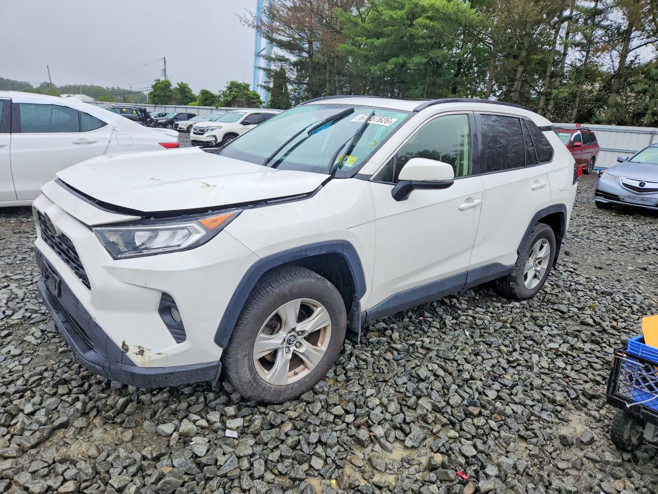 2019 TOYOTA RAV4 XLE | JTMP1RFV1KD037248 | UPCARS