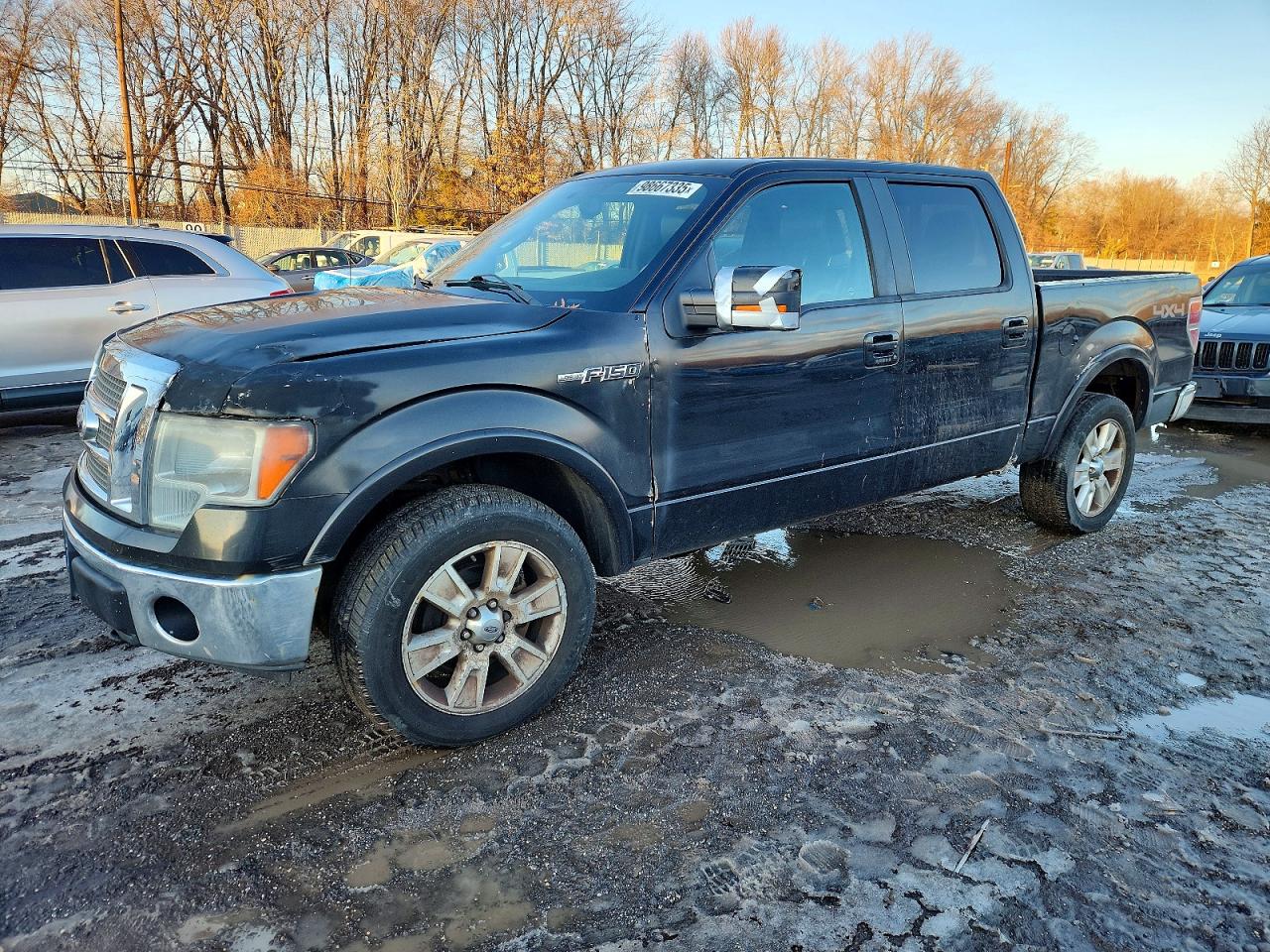 2010 FORD F150 | 1FTFW1EV7AKA18133 | UPCARS