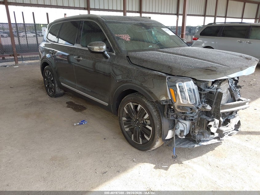 2024 KIA TELLURIDE SX | 5XYP5DGC0RG430982 | UPCARS