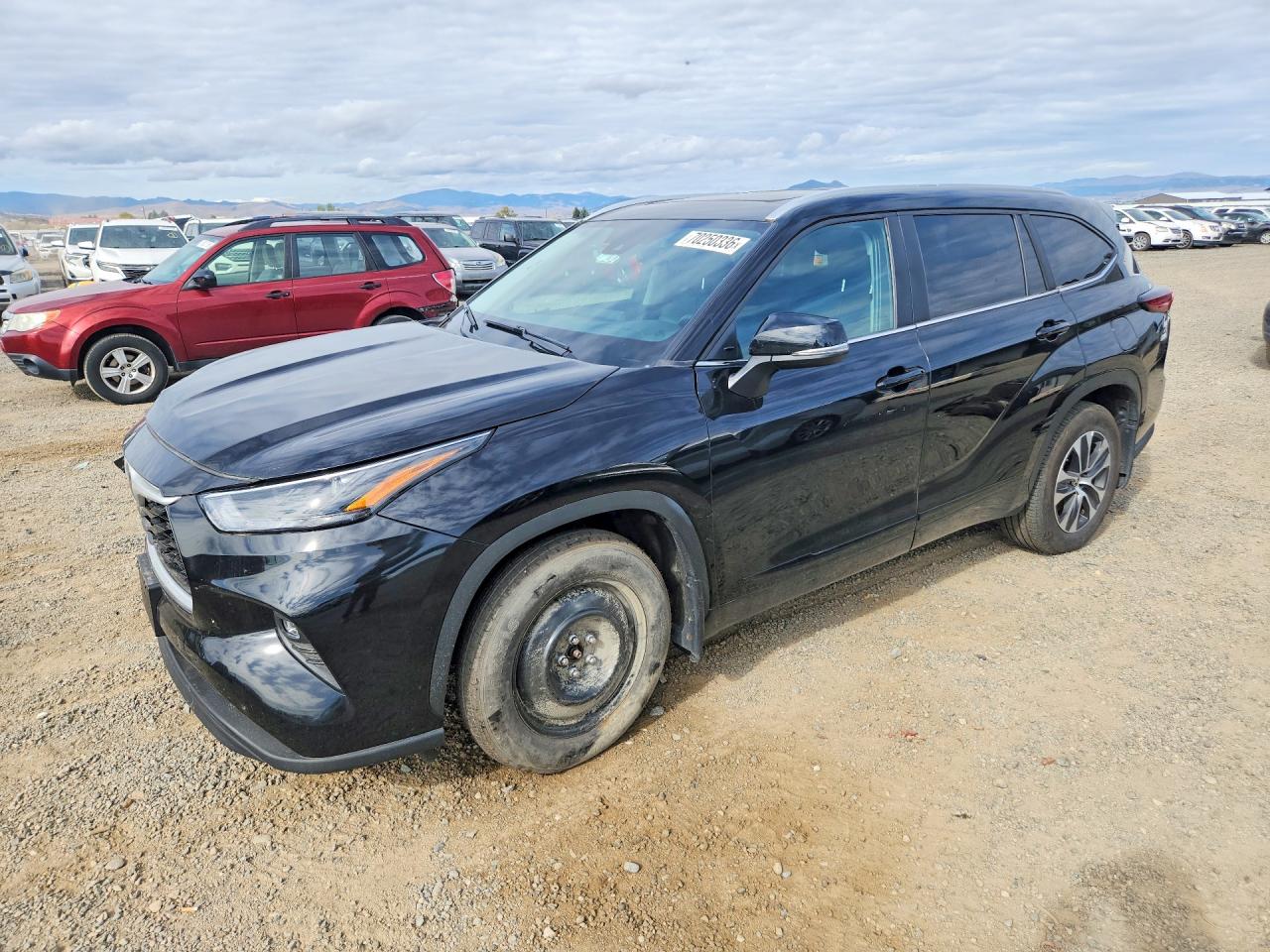 2024 TOYOTA HIGHLANDER XLE | 5TDKDRBH6RS528995 | UPCARS
