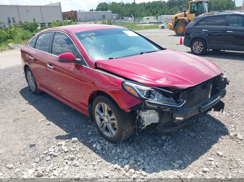 2019 HYUNDAI SONATA SEL | 5NPE34AF7KH737290 | UPCARS