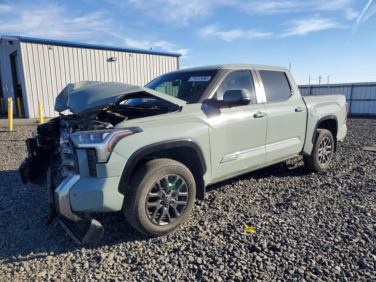 2025 TOYOTA TUNDRA PLATINUM | 5TFNA5DB3SX335680 | UPCARS