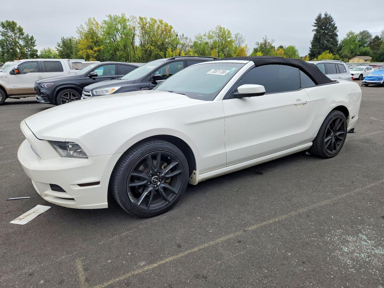 2013 FORD MUSTANG | 1ZVBP8EM1D5224656 | UPCARS