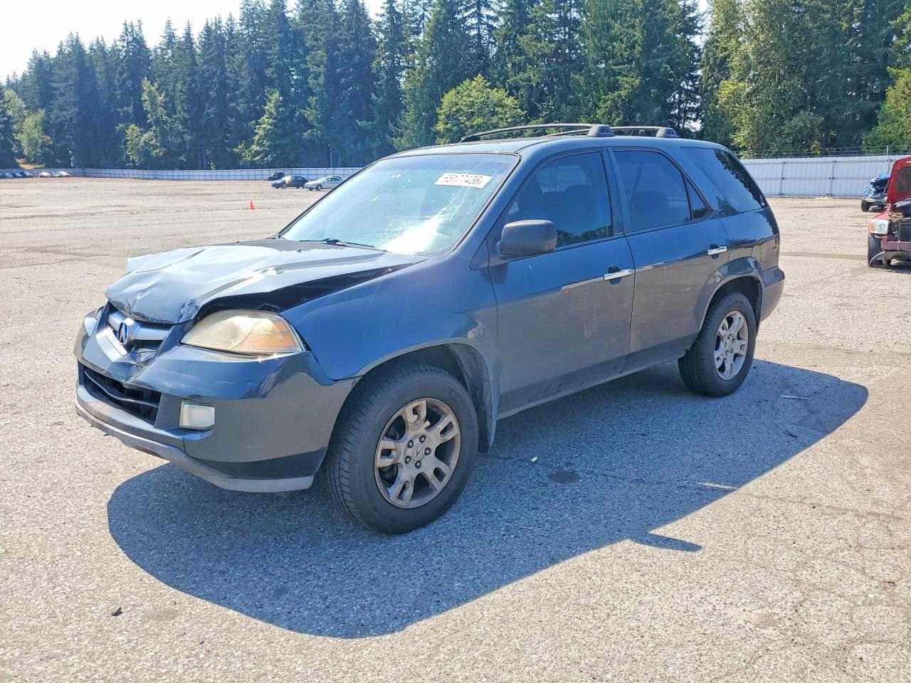 2006 ACURA MDX TOURING | 2HNYD18886H543313 | UPCARS