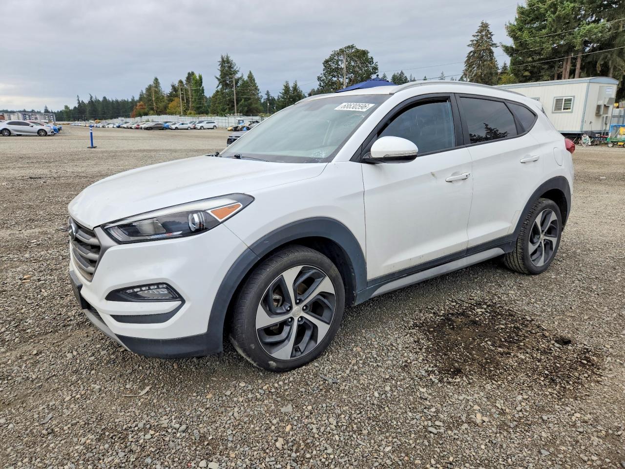 2017 HYUNDAI TUCSON SPORT | KM8J33A26HU549327 | UPCARS