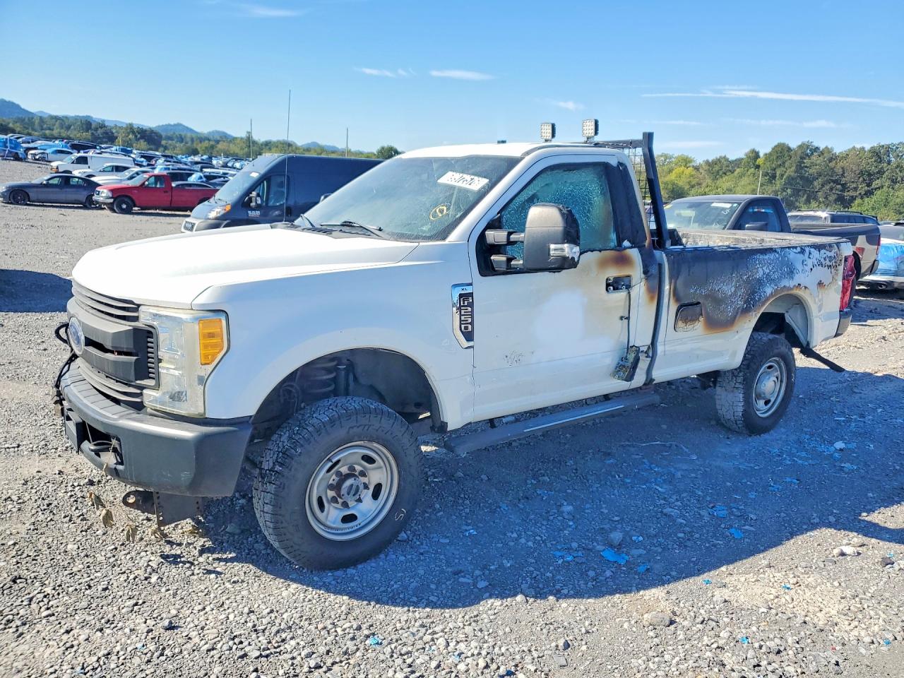 2017 FORD F250 SUPER DUTY | 1FTBF2B63HEC27718 | UPCARS