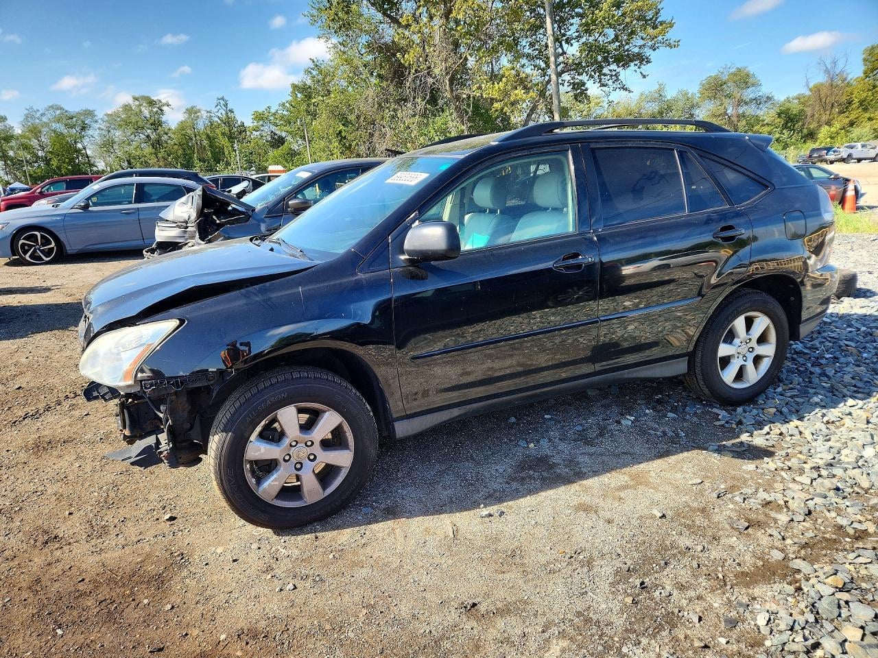2004 LEXUS RX 330 | JTJHA31U840036685 | UPCARS