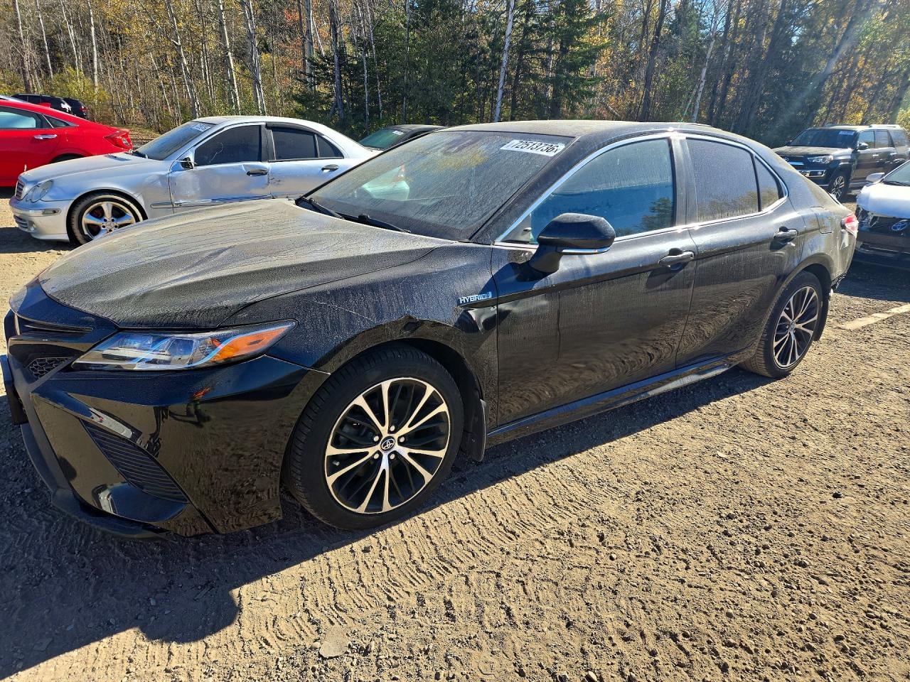 2020 TOYOTA CAMRY | 4T1B21HK6LU522719 | UPCARS