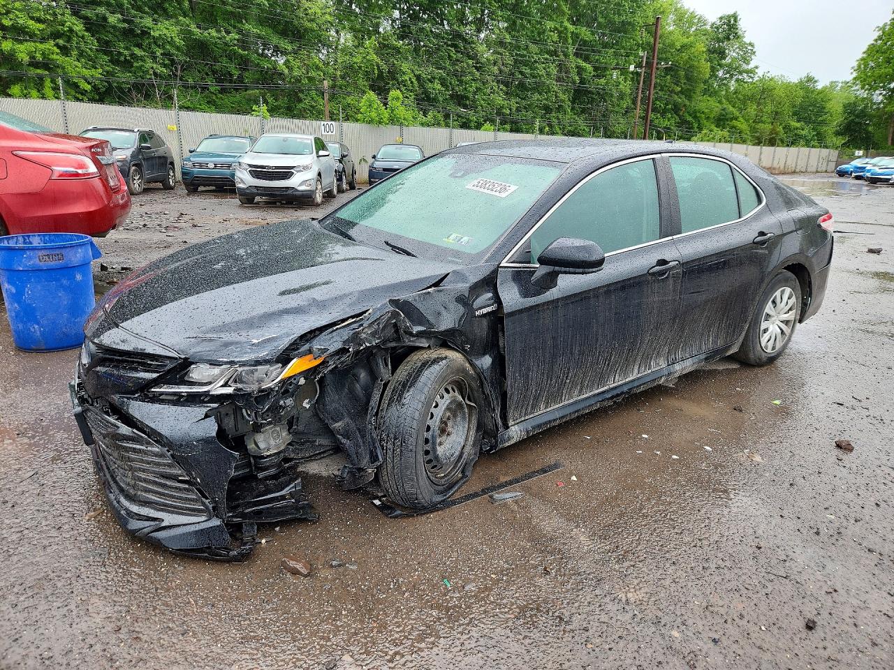 2019 TOYOTA CAMRY LE | 4T1B31HK7KU509151 | UPCARS