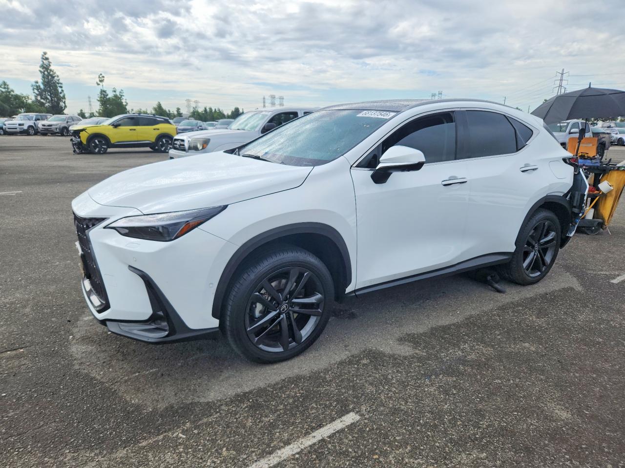 2026 LEXUS NX LUXURY | JTJHKCFZ1T2083738 | UPCARS