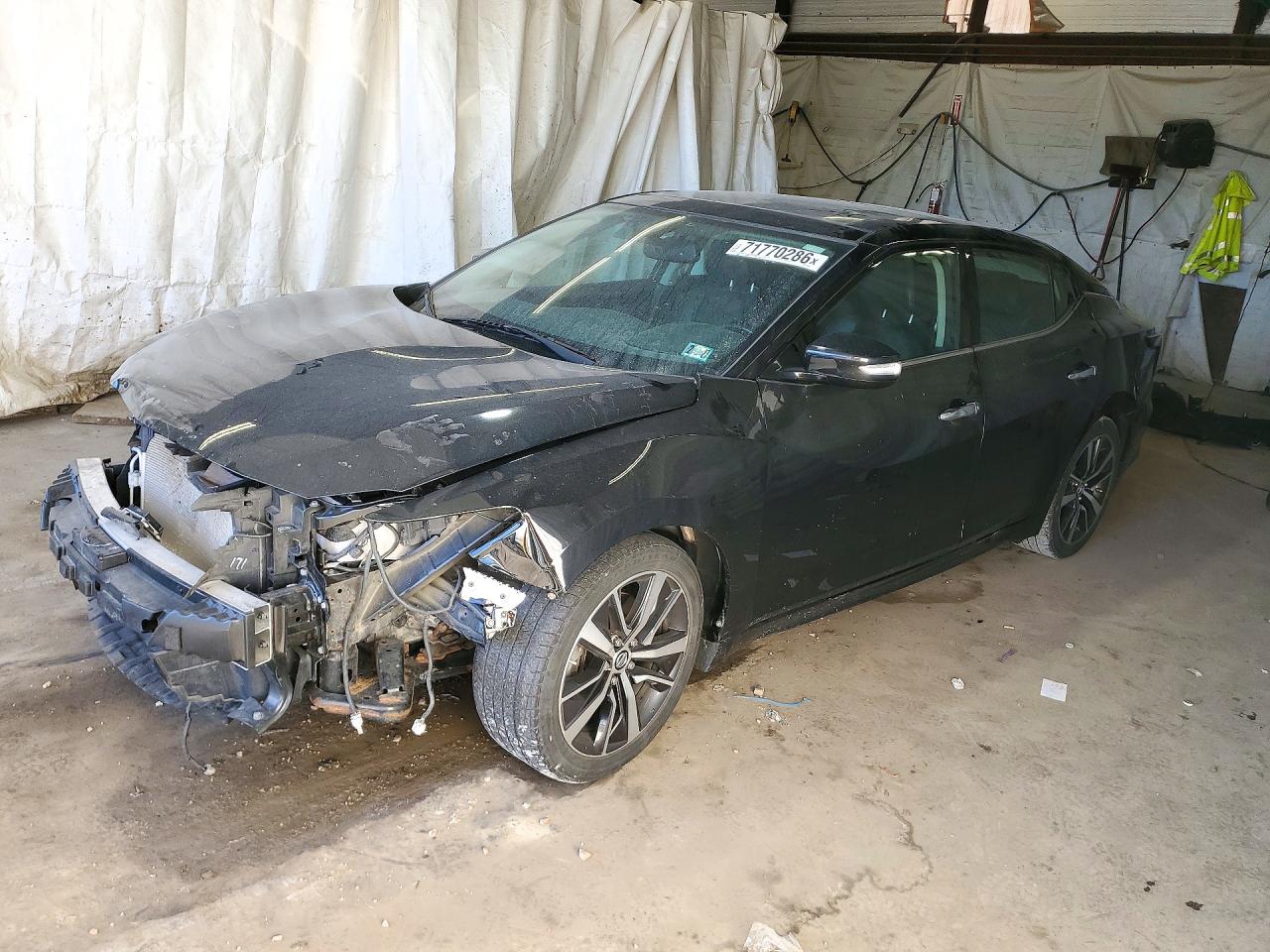 2019 NISSAN MAXIMA 3.5 SL | 1N4AA6AV2KC363423 | UPCARS