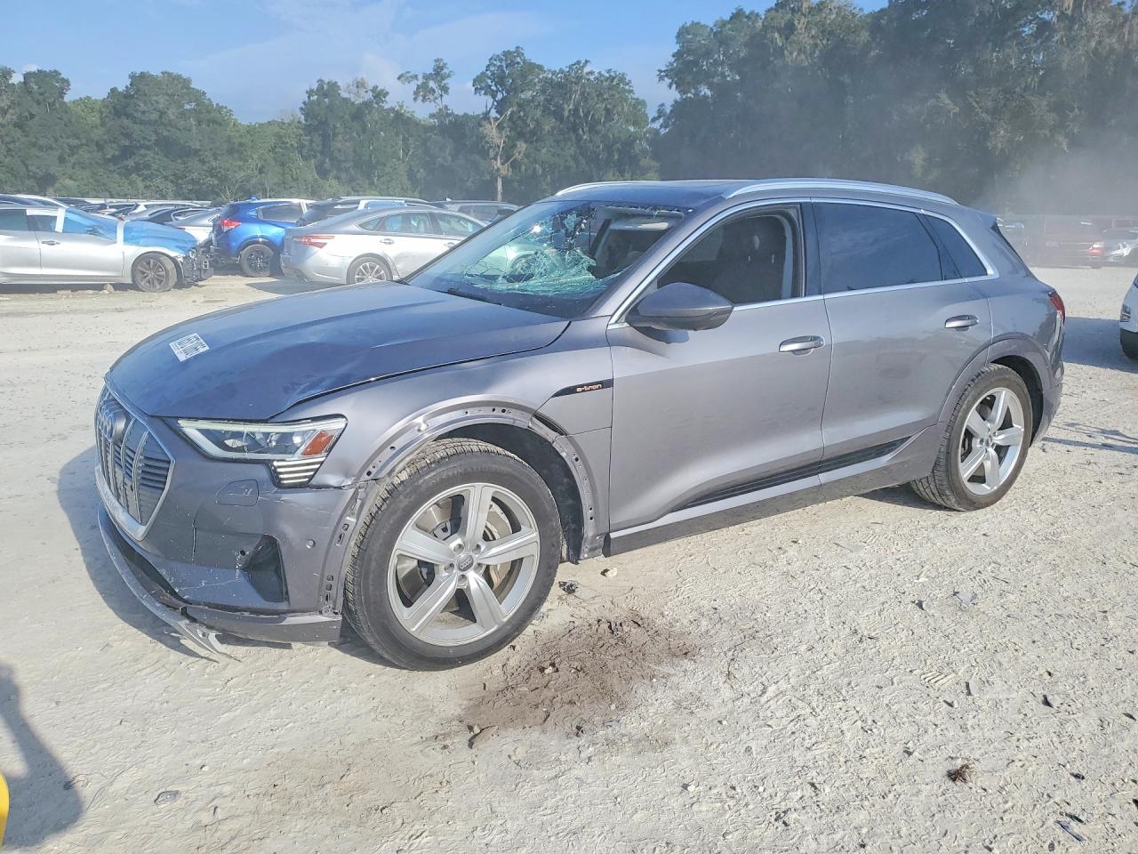 2019 AUDI E-TRON PREMIUM PLUS | WA1LAAGE1KB013004 | UPCARS
