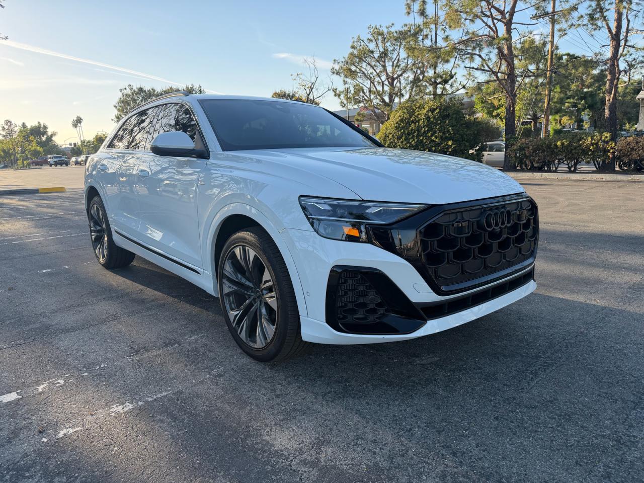 2025 AUDI Q8 PREMIUM PLUS S-LINE | WA1EVBF12SD032764 | UPCARS