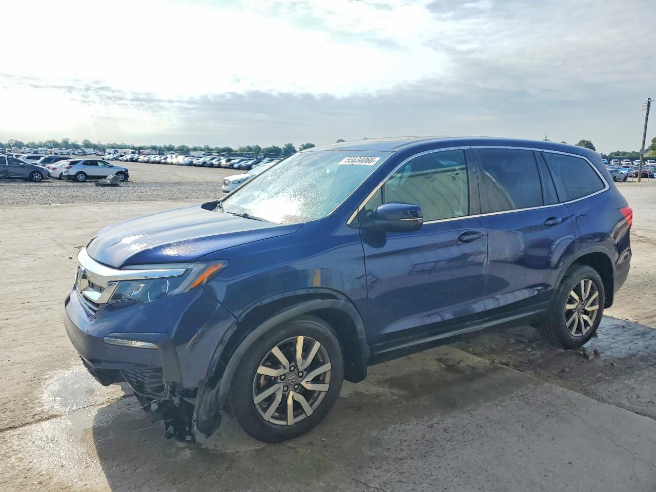 2019 HONDA PILOT EXL | 5FNYF6H4XKB017968 | UPCARS
