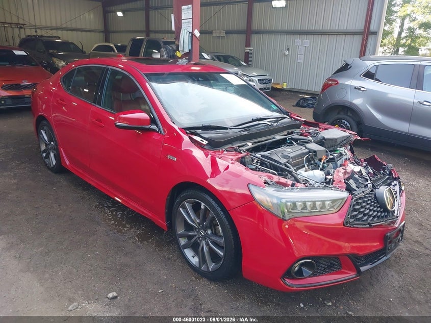2019 ACURA TLX TECH   A-SPEC PKGS | 19UUB1F65KA004105 | UPCARS