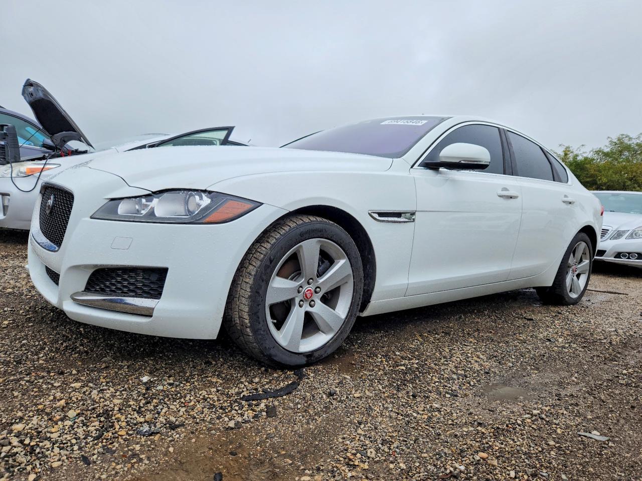 2018 JAGUAR XF | SAJBR4FX1JCY69492 | UPCARS