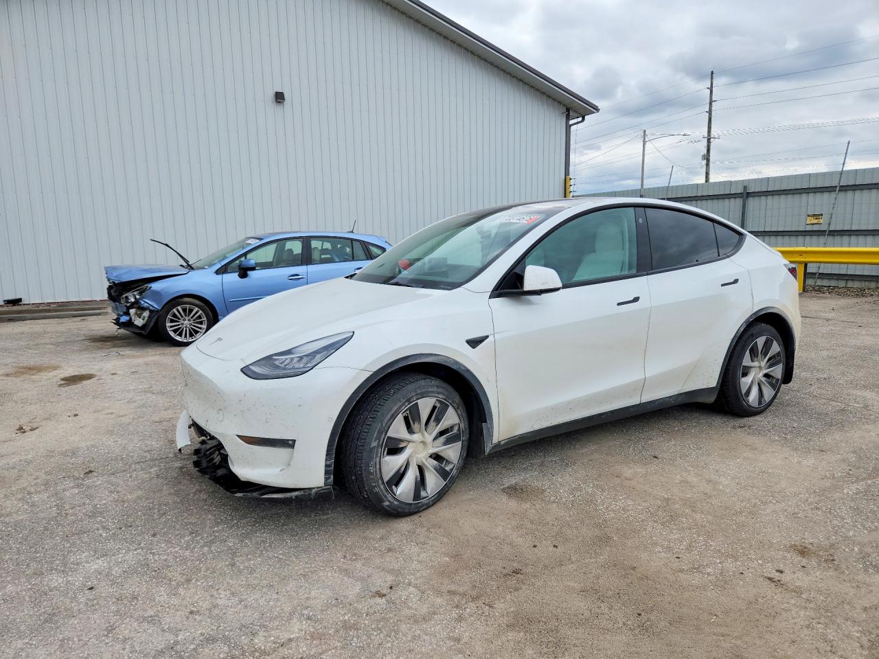 2021 TESLA MODEL Y | 5YJYGDEE7MF245816 | UPCARS