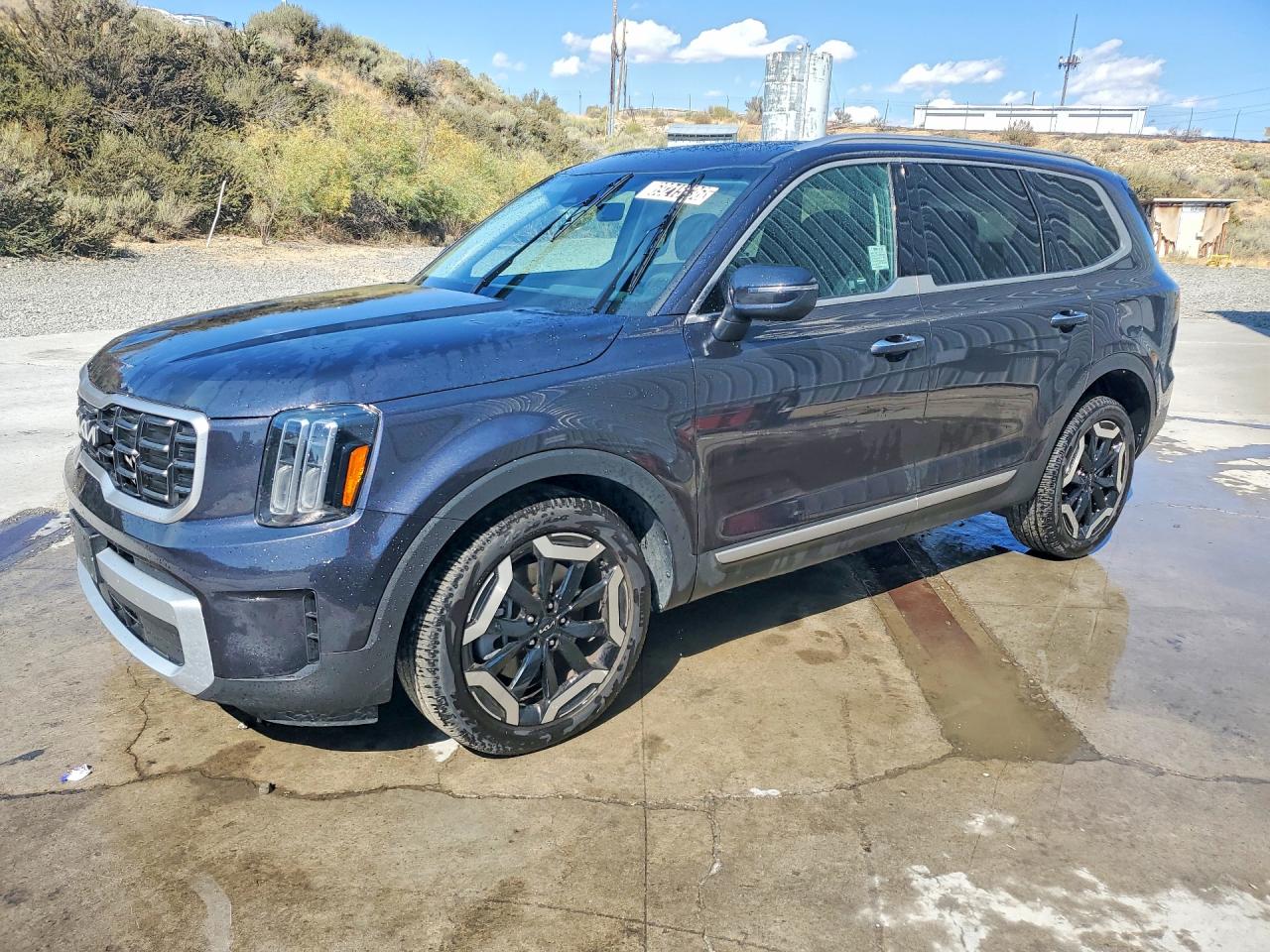 2025 KIA TELLURIDE S | 5XYP6DGC7SG684028 | UPCARS