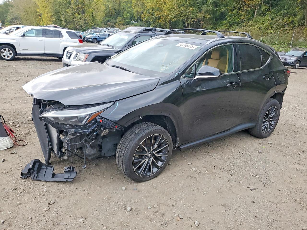 2022 LEXUS NX BASE | 2T2AGCEZ8NC010440 | UPCARS