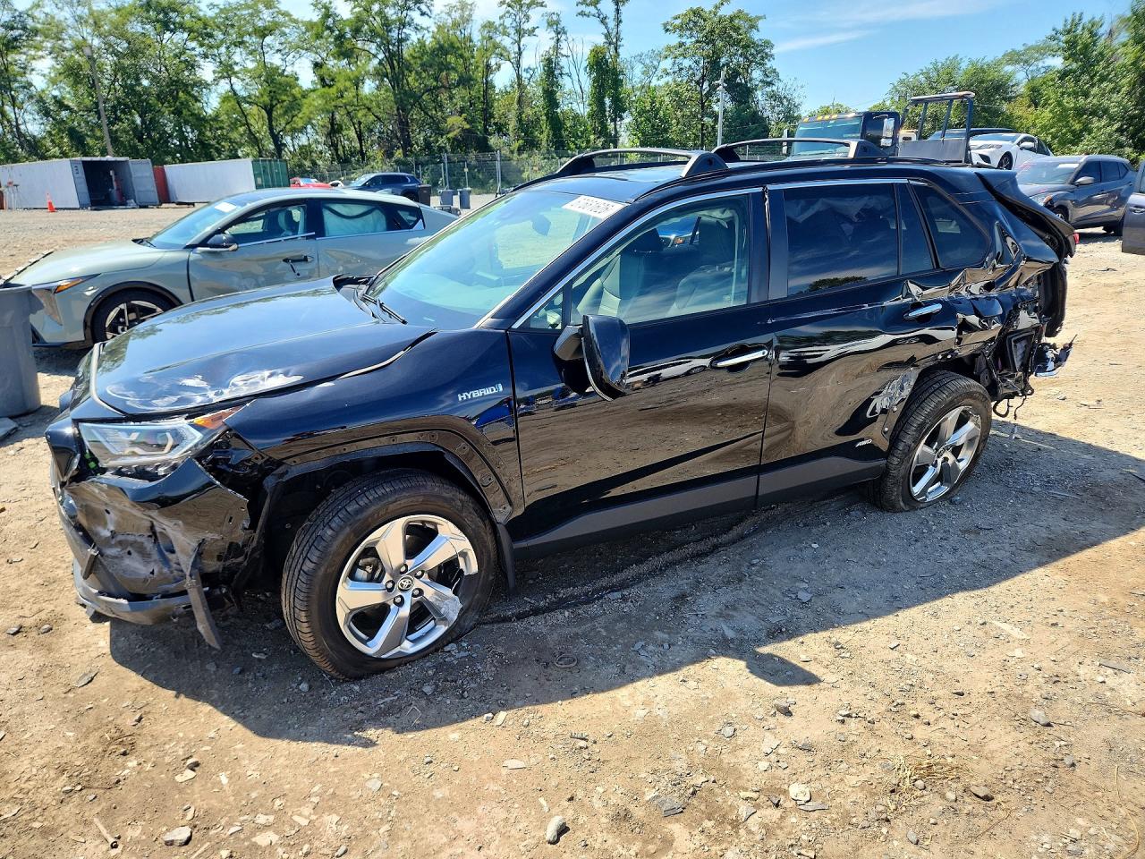 2020 TOYOTA RAV4 LIMITED | JTMDWRFV9LD058144 | UPCARS