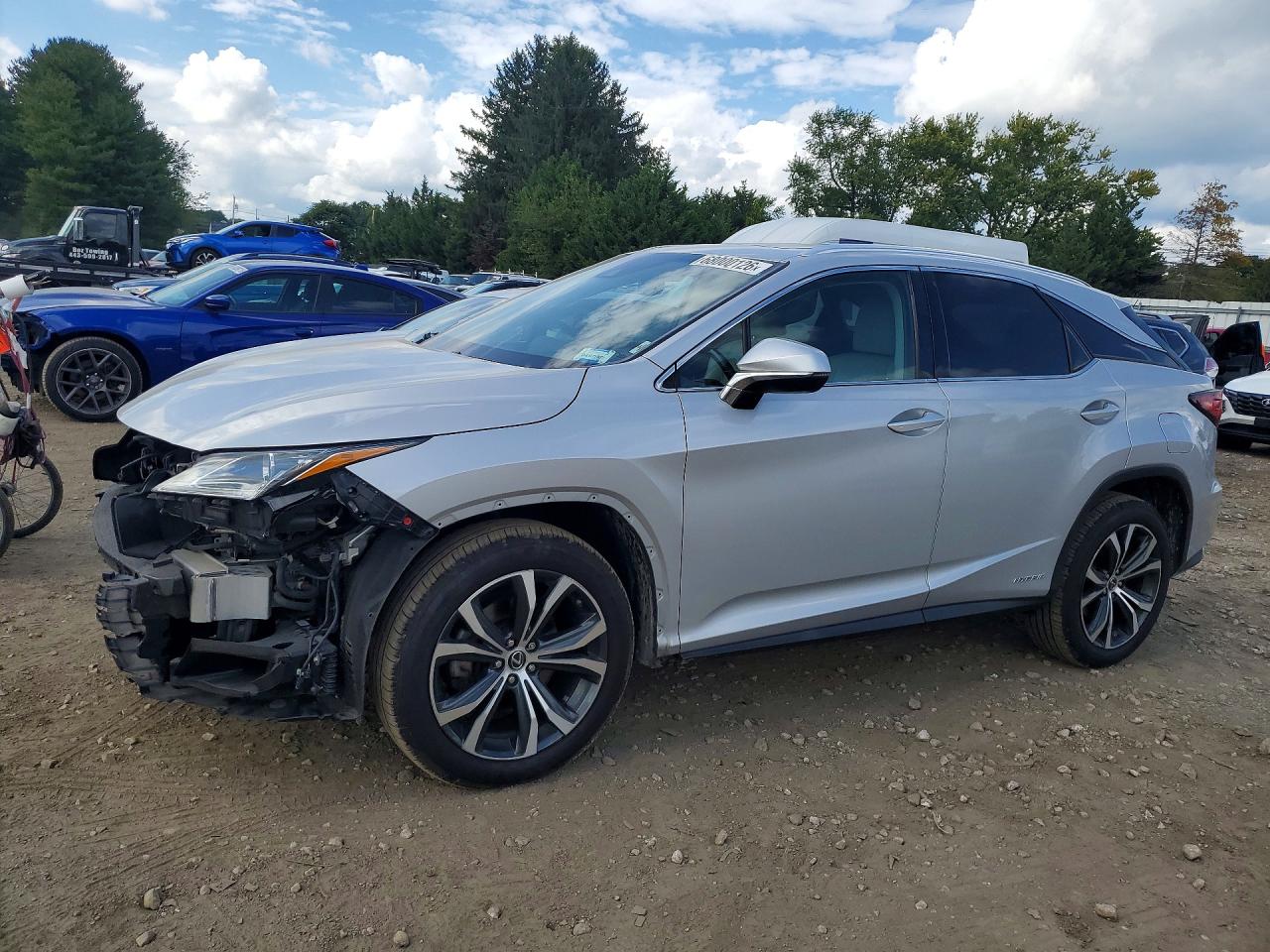2019 LEXUS RX450 BASE | 2T2BGMCA7KC043299 | UPCARS