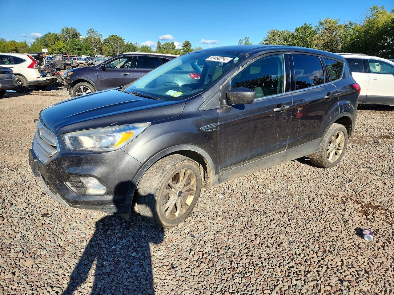 2019 FORD ESCAPE SE | 1FMCU9GD4KUA09905 | UPCARS