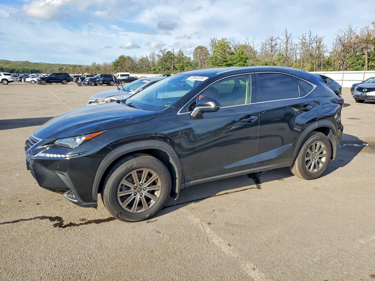 2020 LEXUS NX 300 | JTJDARDZ3L5004608 | UPCARS