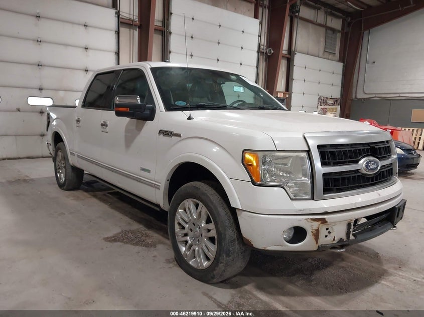 2011 FORD F-150 PLATINUM | 1FTFW1ET3BFA90584 | UPCARS