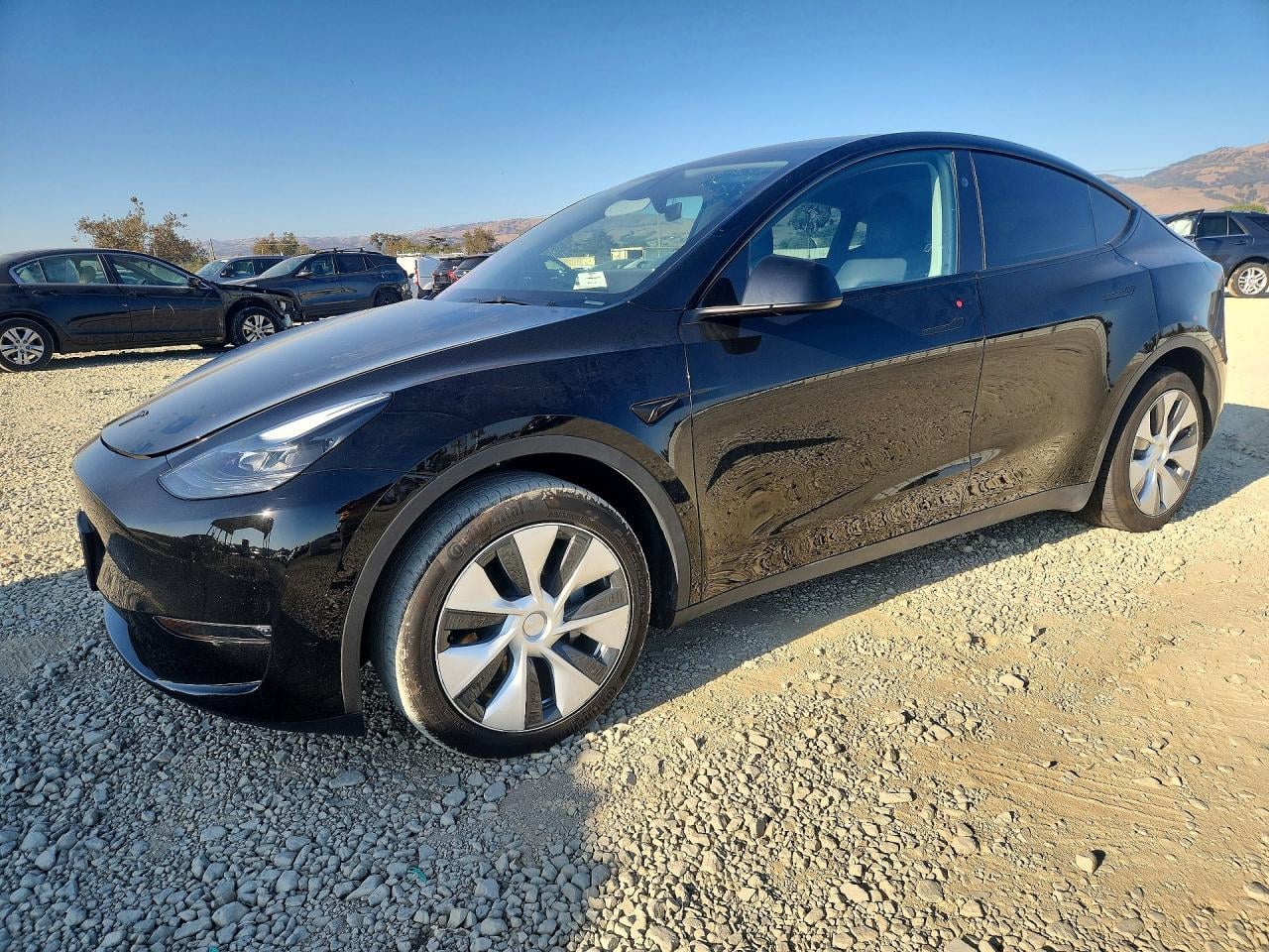 2024 TESLA MODEL Y | 7SAYGDEE1RF032502 | UPCARS