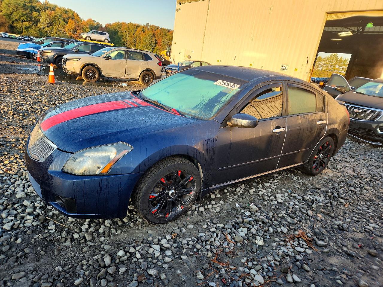 2007 NISSAN MAXIMA 3.5 SE | 1N4BA41E07C810184 | UPCARS