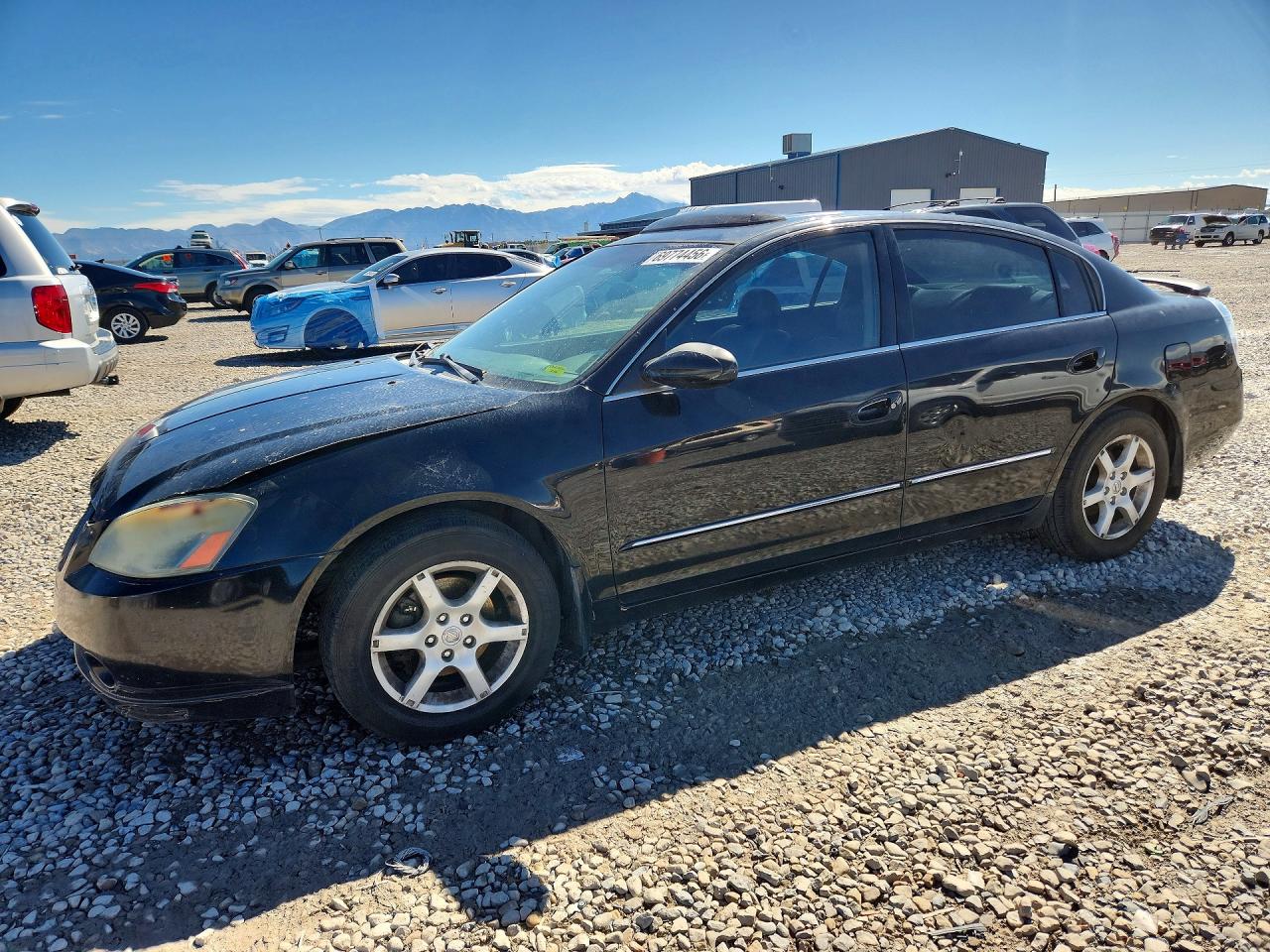 2005 NISSAN ALTIMA 3.5 SE | 1N4BL11D35C187446 | UPCARS