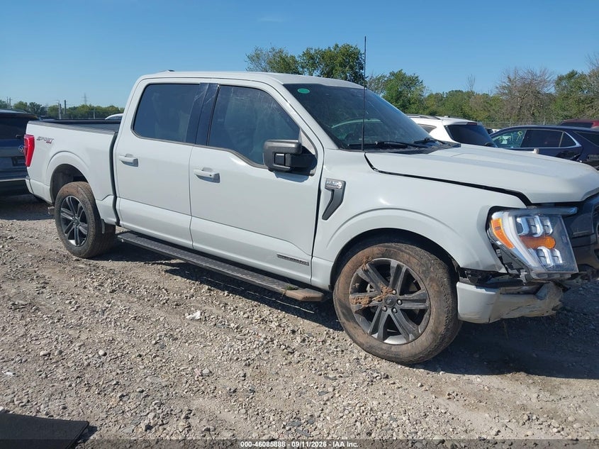 2023 FORD F-150 XLT | 1FTFW1ED3PFD09852 | UPCARS