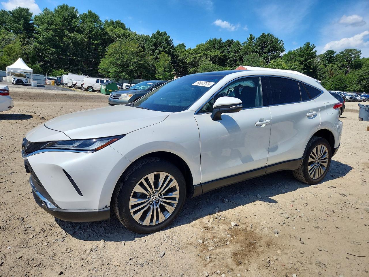 2024 TOYOTA VENZA LIMITED | JTEAAAAH0RJ189599 | UPCARS