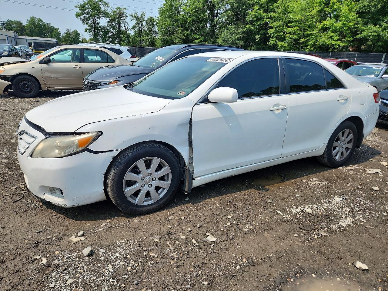 2010 TOYOTA CAMRY BASE | 4T1BF3EK6AU534631 | UPCARS