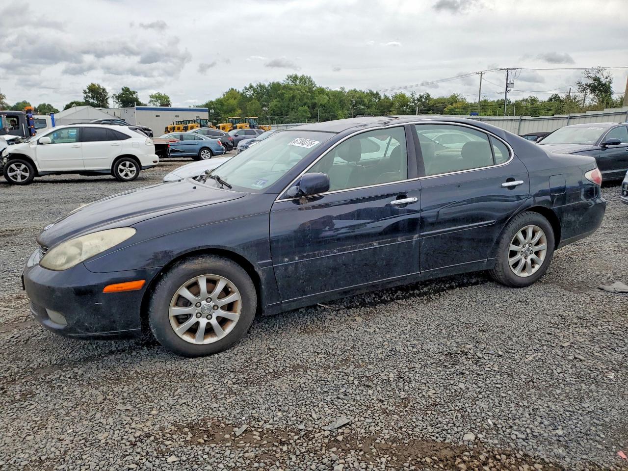 2003 LEXUS ES 300 | JTHBF30G536005863 | UPCARS