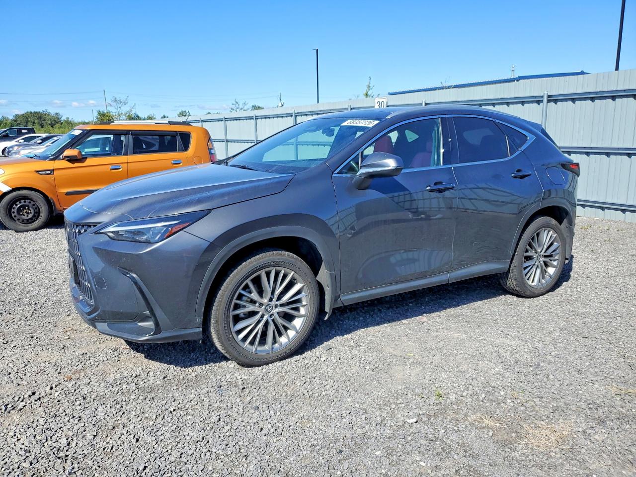 2025 LEXUS NX PREMIUM | 2T2GKCEZ3SC044595 | UPCARS