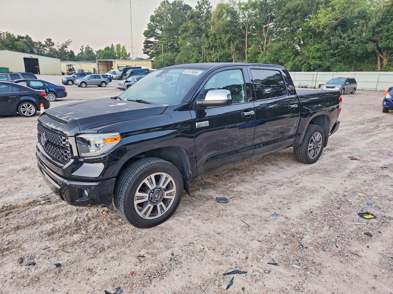 2021 TOYOTA TUNDRA PLATINUM | 5TFAY5F12MX996182 | UPCARS