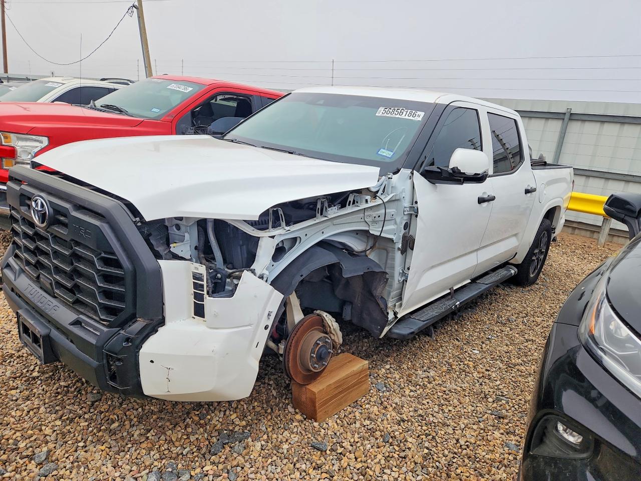 2023 TOYOTA TUNDRA SR5 | 5TFLA5DB1PX128865 | UPCARS