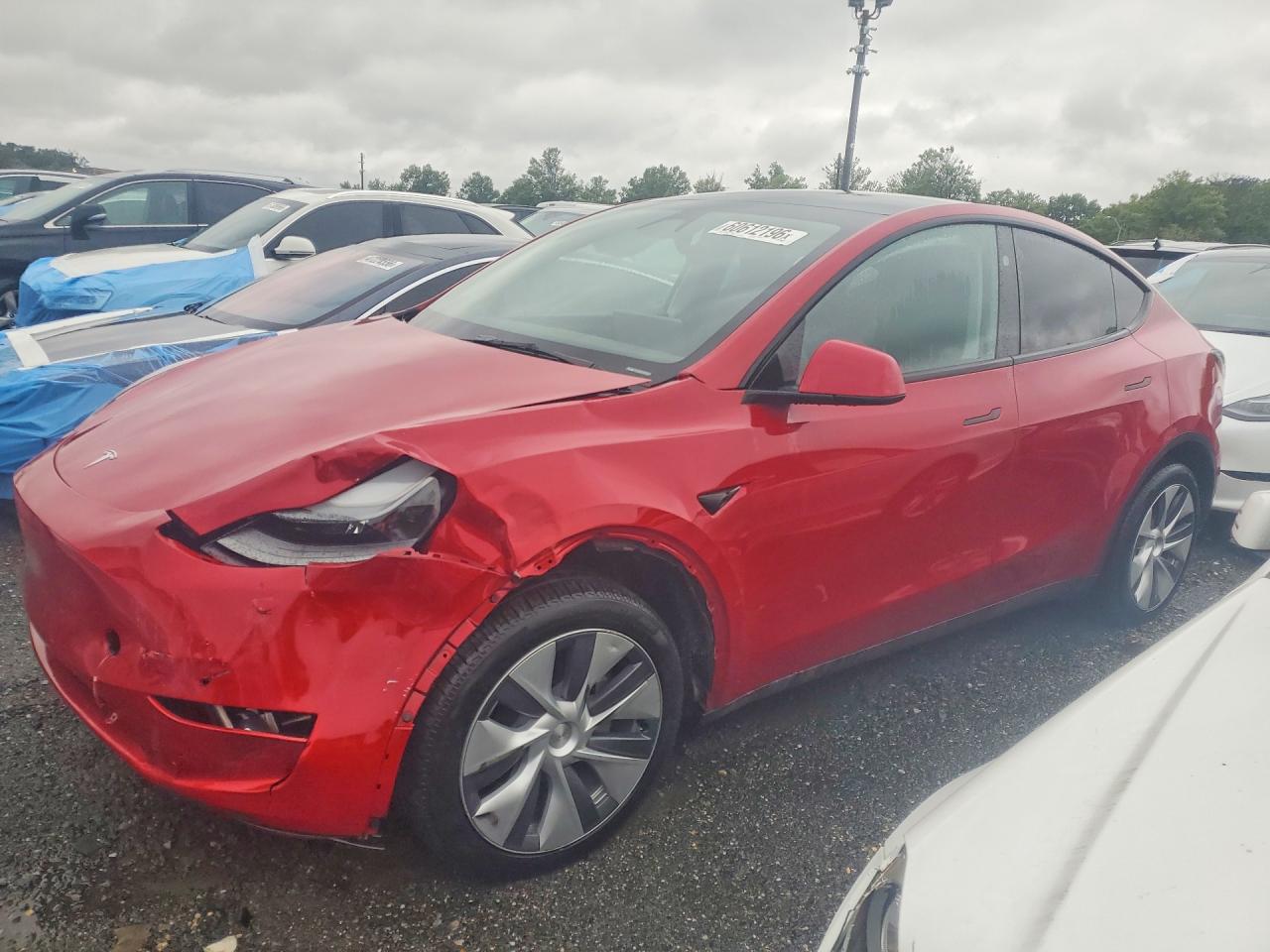 2023 TESLA MODEL Y | 7SAYGDEE6PA165573 | UPCARS