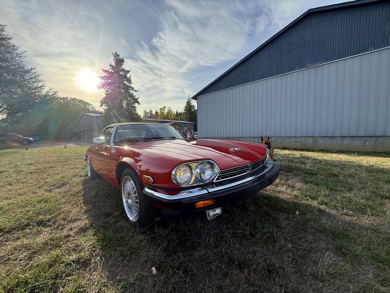 1990 JAGUAR XJS | SAJNW4840LC165974 | UPCARS