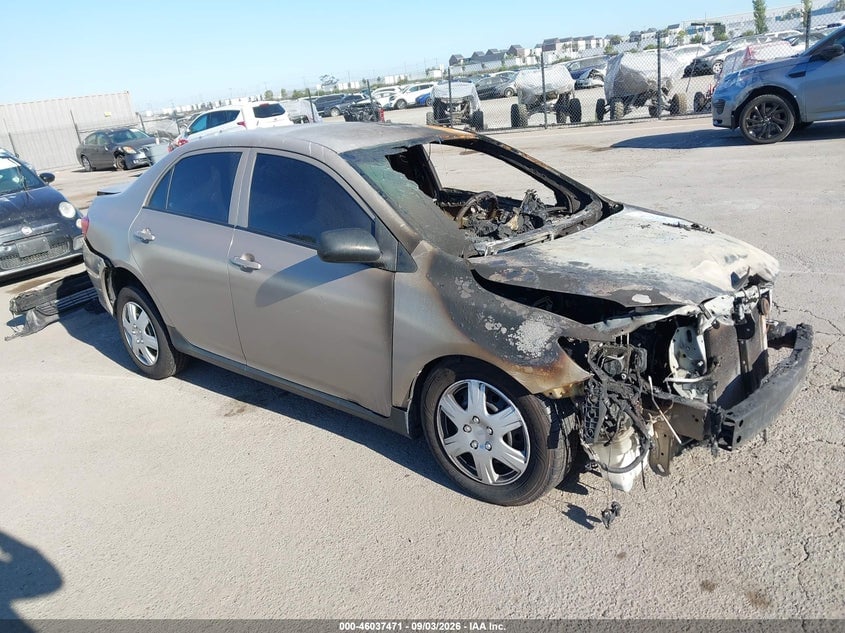 2010 TOYOTA COROLLA LE | 1NXBU4EE8AZ328460 | UPCARS