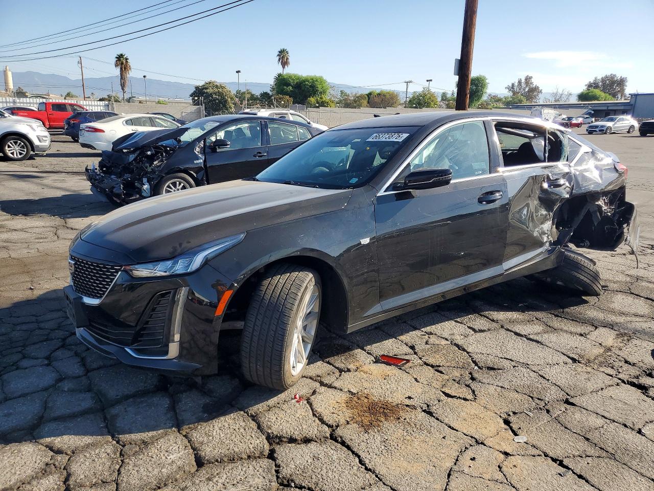 2024 CADILLAC CT5 LUXURY | 1G6DW5RKXR0103623 | UPCARS
