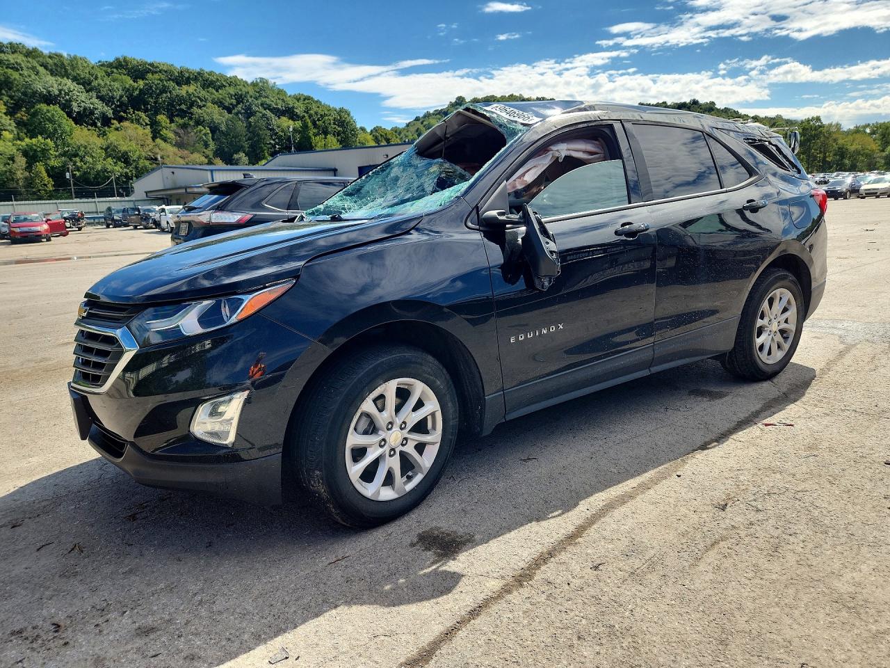 2019 CHEVROLET EQUINOX LS | 3GNAXSEV1KL389079 | UPCARS