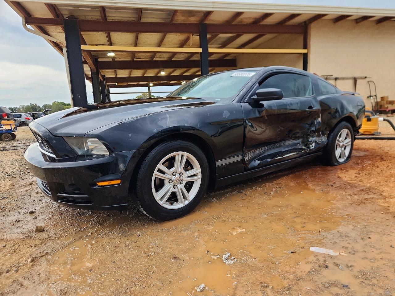2013 FORD MUSTANG | 1ZVBP8AMXD5258150 | UPCARS